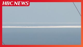 newsonjapan.com