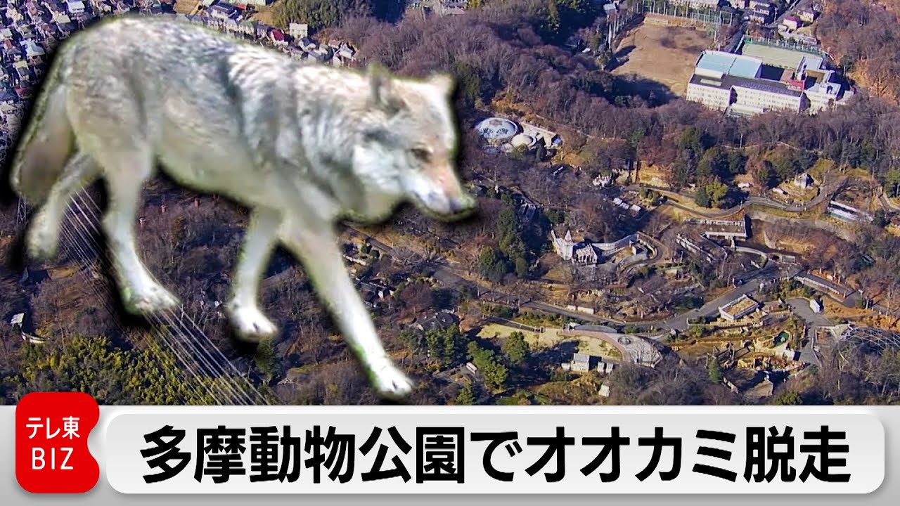 newsonjapan.com