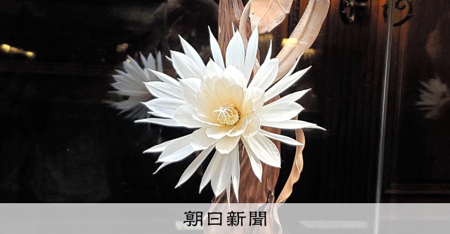 www.asahi.com