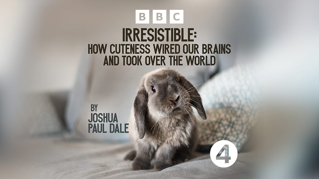www.bbc.co.uk