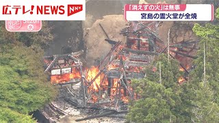 newsonjapan.com