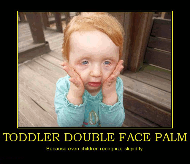 Toddler+double+face+palm_5b85e6_3333792.gif