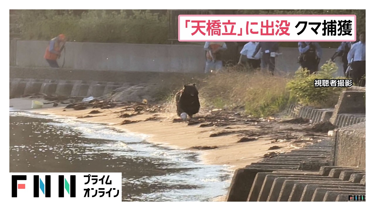 newsonjapan.com