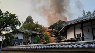 newsonjapan.com