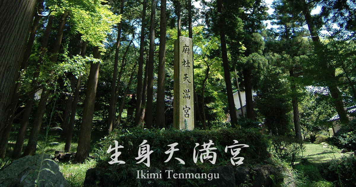 www.ikimi.jp