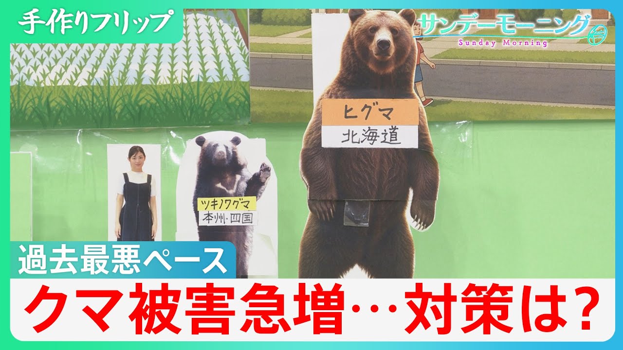 newsonjapan.com