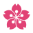 www.sakura-house.com