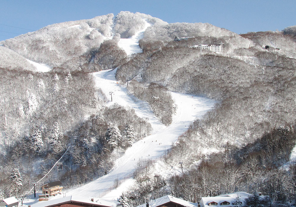 www.powderhounds.com