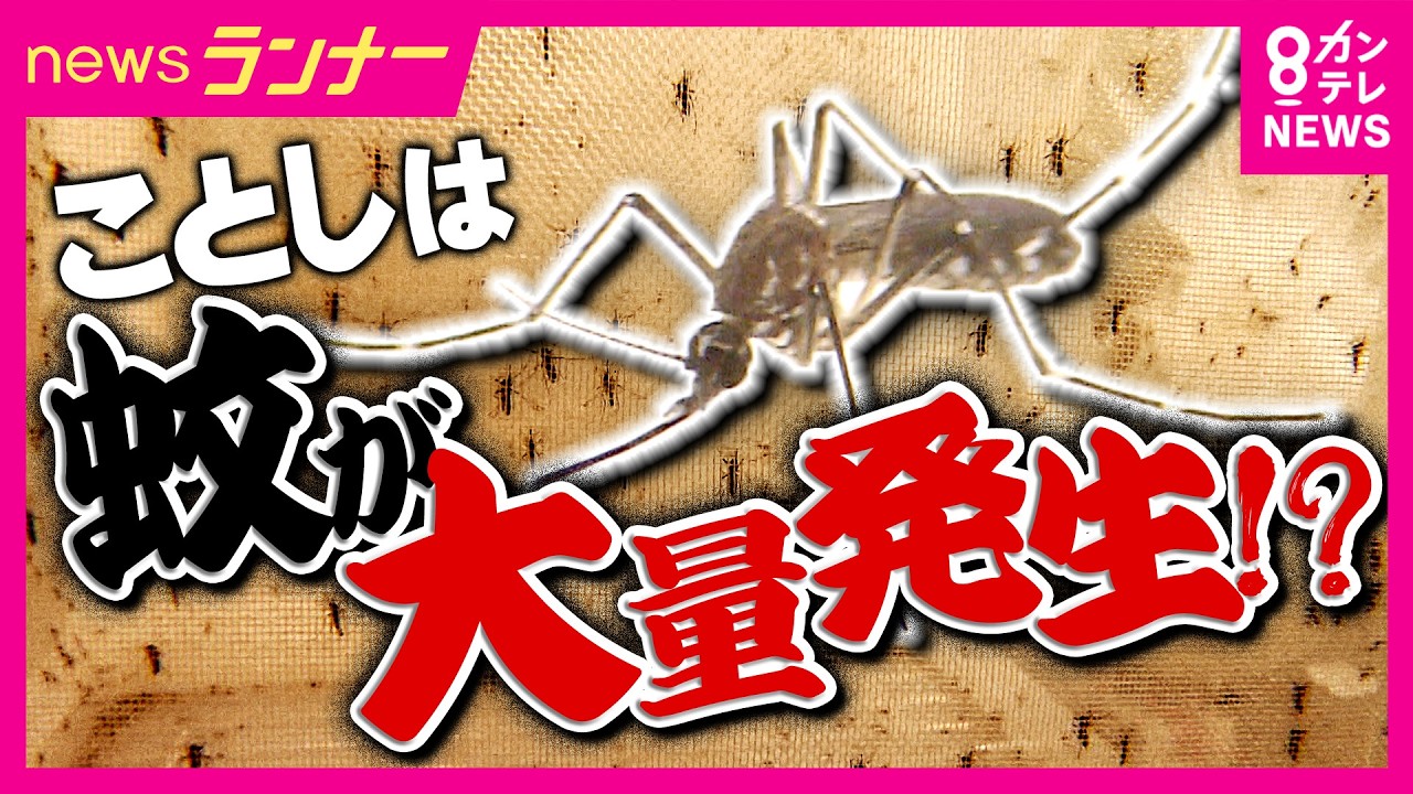 newsonjapan.com