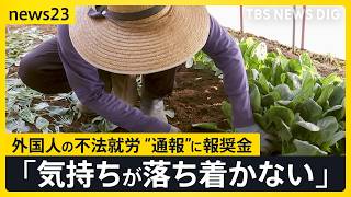 newsonjapan.com