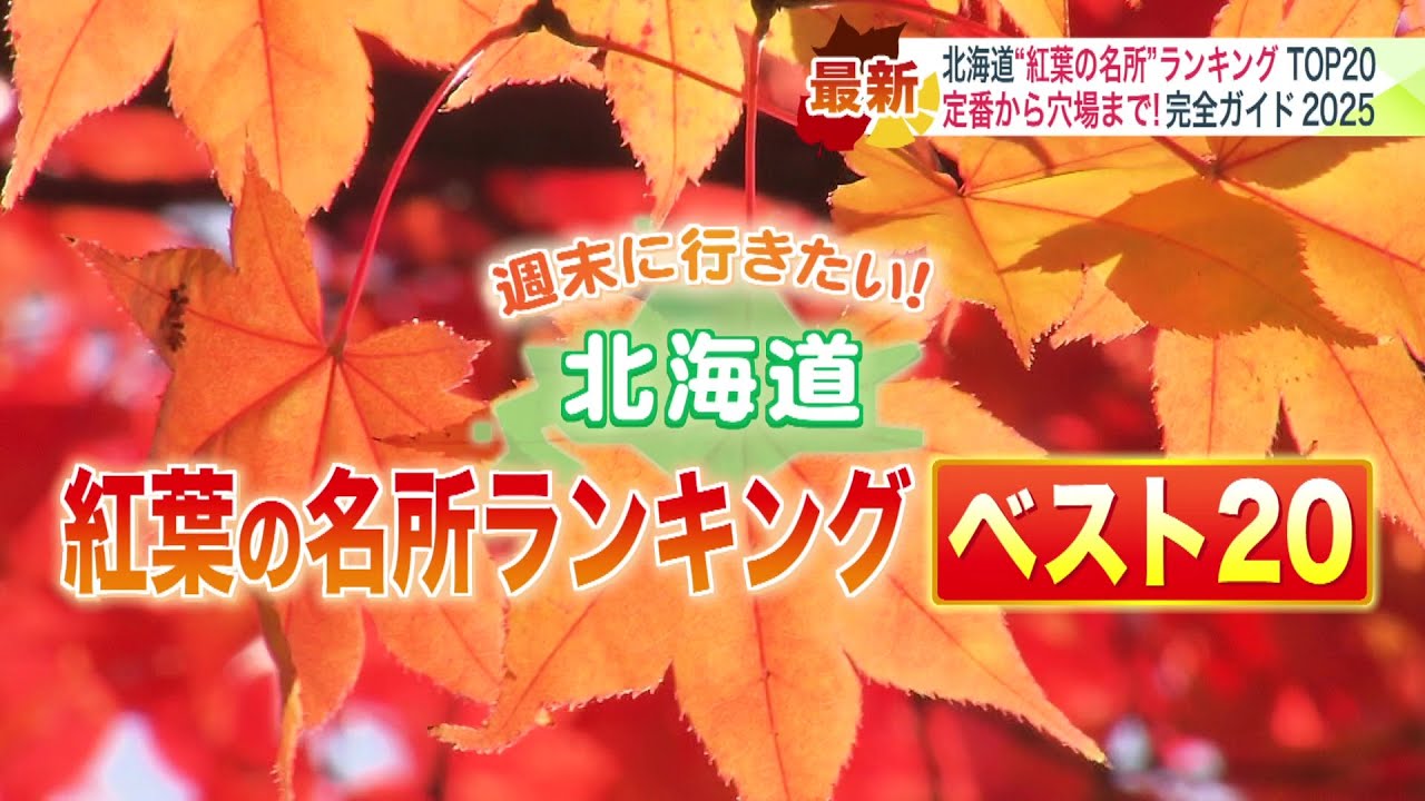 newsonjapan.com