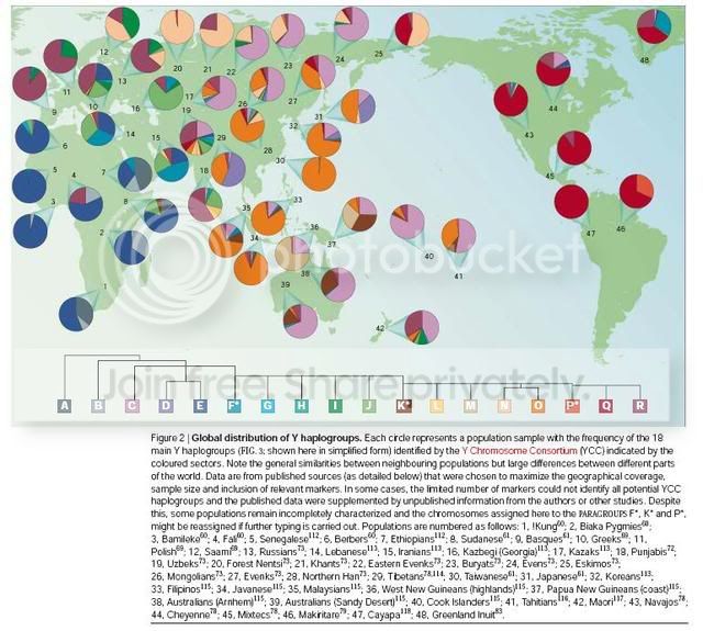 WorldYHaplo-1.jpg