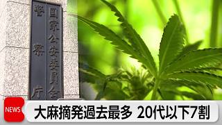 newsonjapan.com