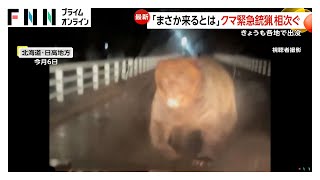 newsonjapan.com