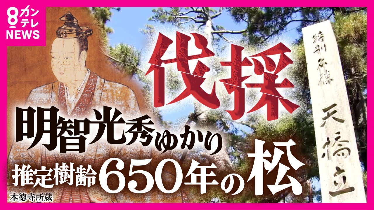 newsonjapan.com