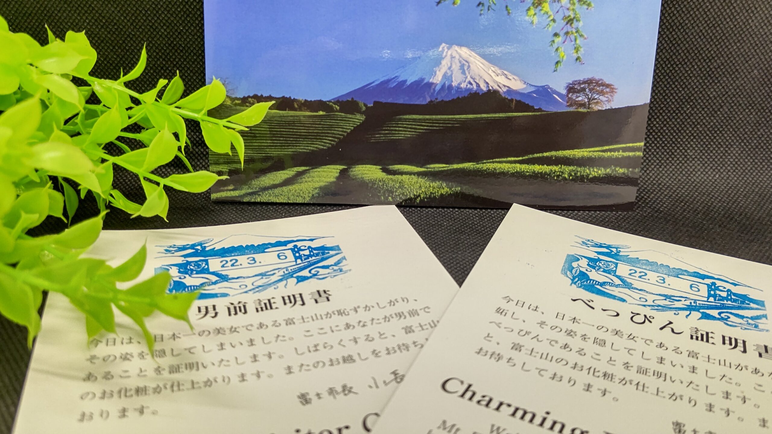 dayan-teru.com