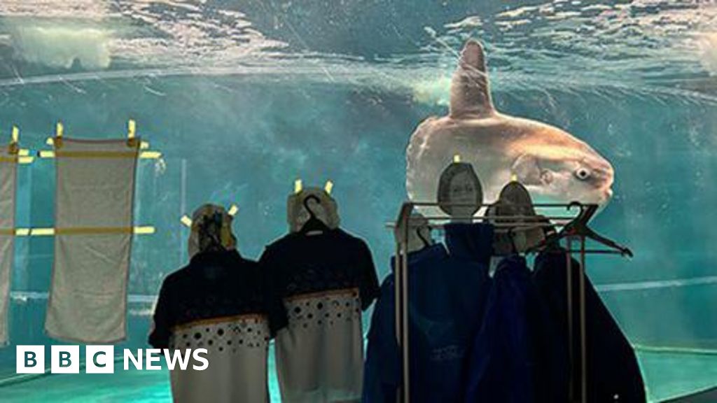 www.bbc.com