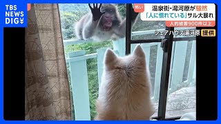 newsonjapan.com
