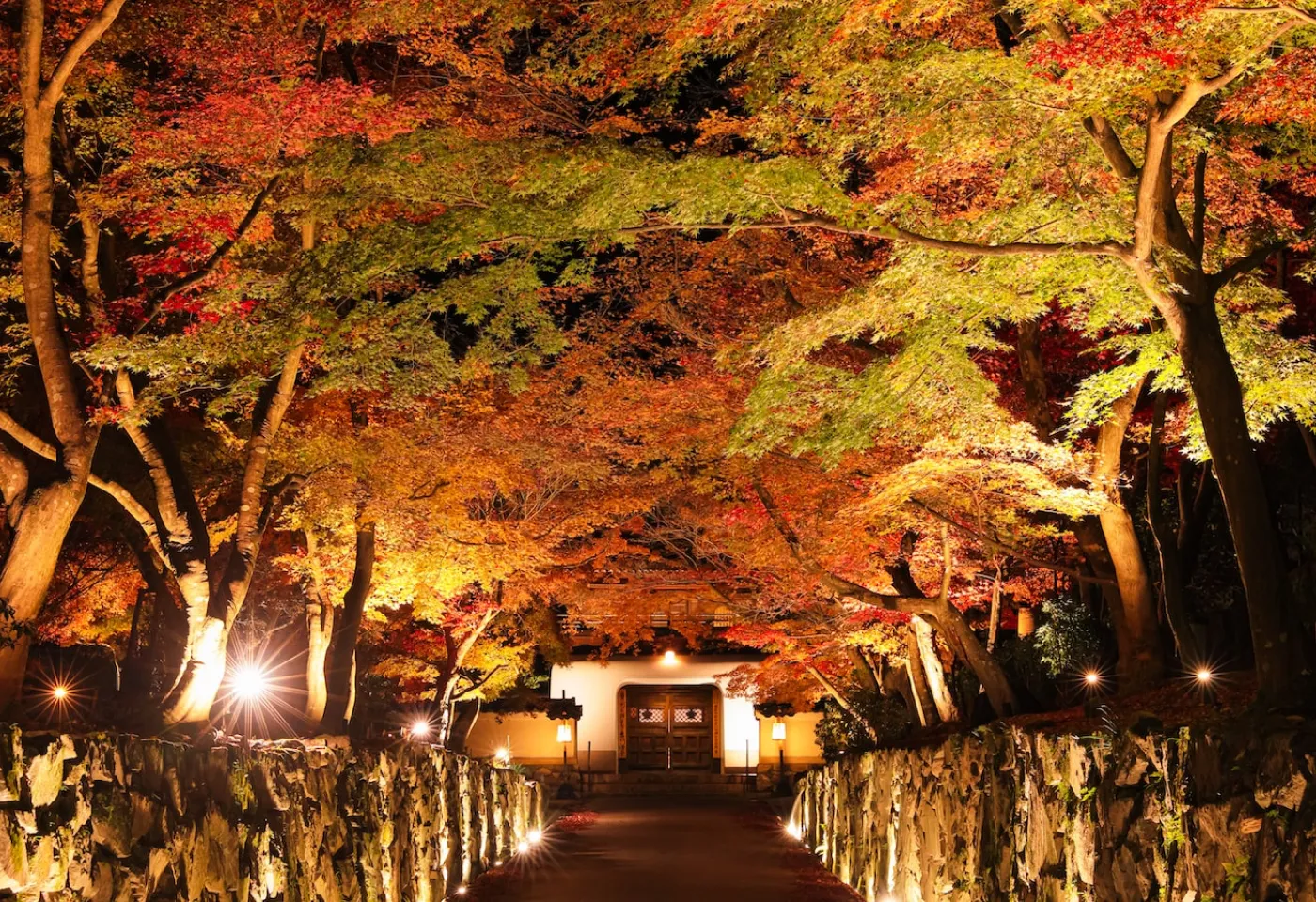 special_photo07@2x.webp